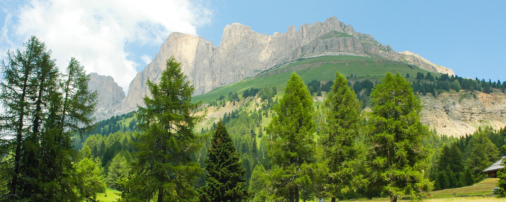 Escursioni vicino a Moena Roda de Vael