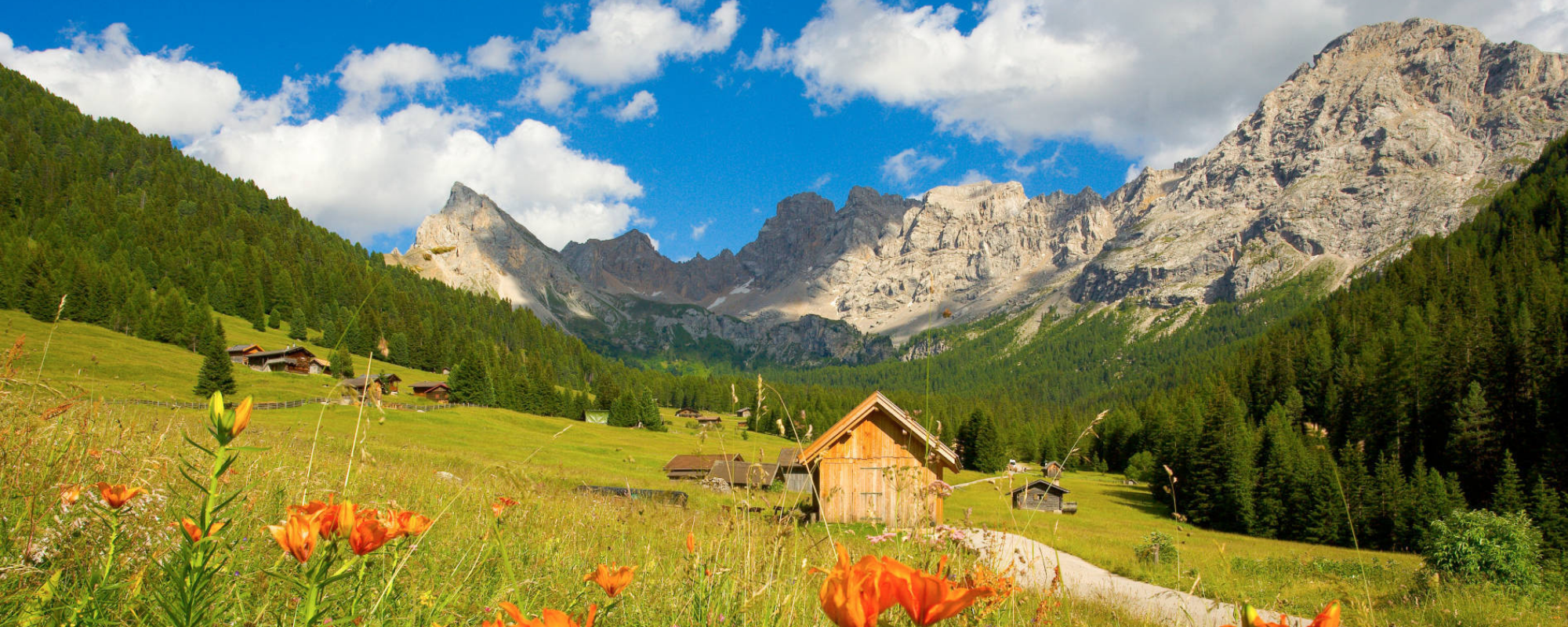 Escursioni vicino a Moena val san nicolo