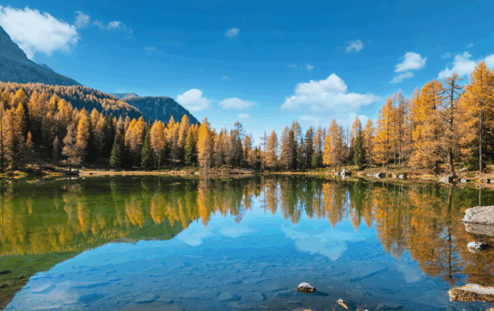 Cosa fare a Moena in autunno