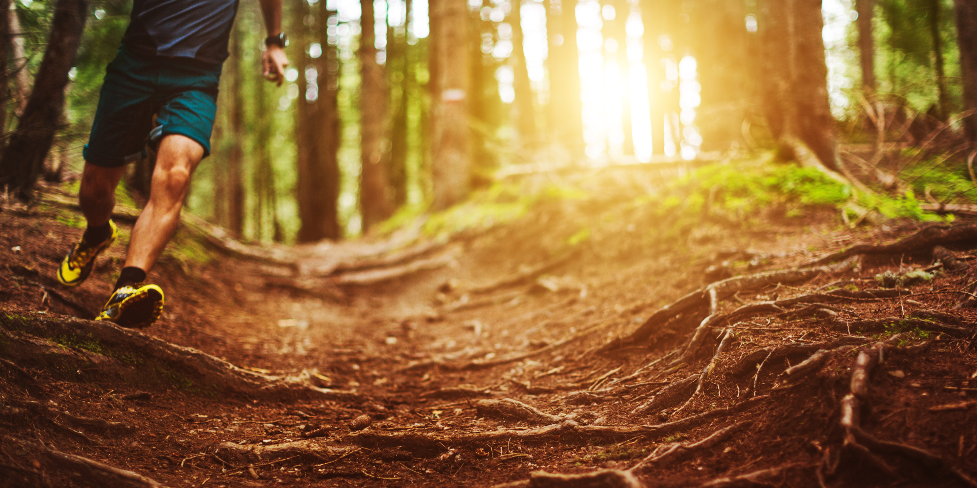 Percorso trail running a Moena
